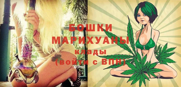 МДПВ Алексин