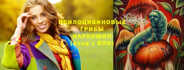 МДПВ Алексин