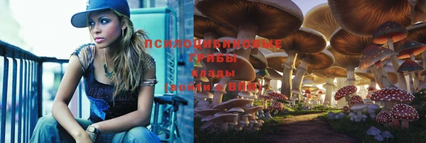 МДПВ Алексин