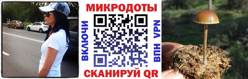 Галлюциногенные грибы Magic Shrooms Рудня